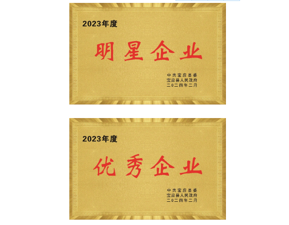 凯发k8旗舰喜获宝应县两项荣誉表彰