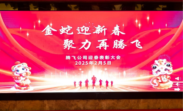 凯发k8旗舰公司召开迎春表彰大会