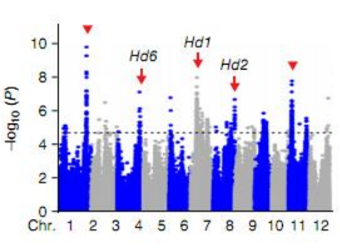 1658918833804557.png 2.png